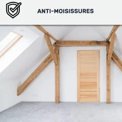 Peinture anti-condensation, anti odeur pour pièces humides Bleu vert - RAL 5001 - 10 L -^Arcane Industries Best