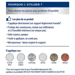 Peinture anti-humidité intérieur satin gris lome 0,75L-Ripolin Outlet