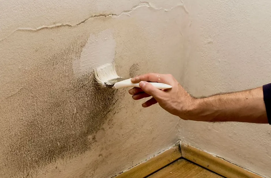 PEINTURE ANTI-HUMIDITE 0.75L- Primaire et finition hydrofuge -^Comus Best