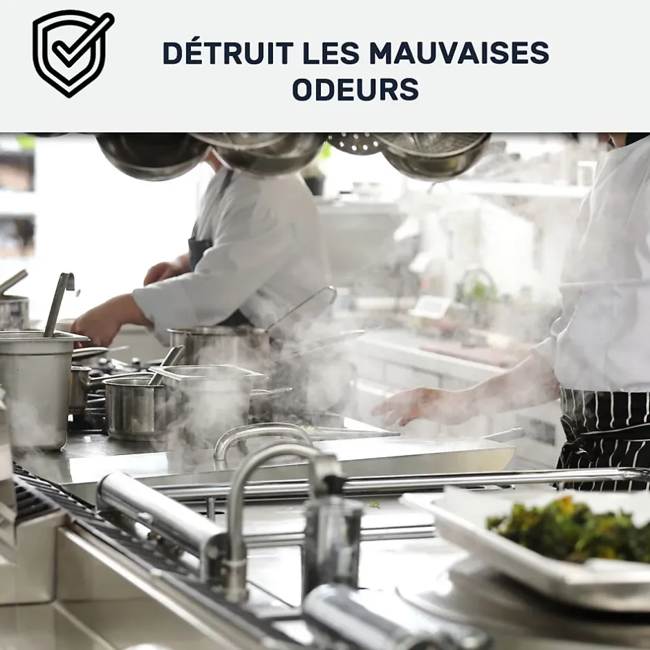 Peinture cuisine lavable, mur et plafond Gris Anthracite - RAL 7016 - 10 L -^Arcane Industries Outlet