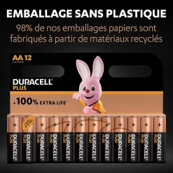 Pile alcaline AA (LR6) Plus non rechargeable, lot de 12^Duracell Online