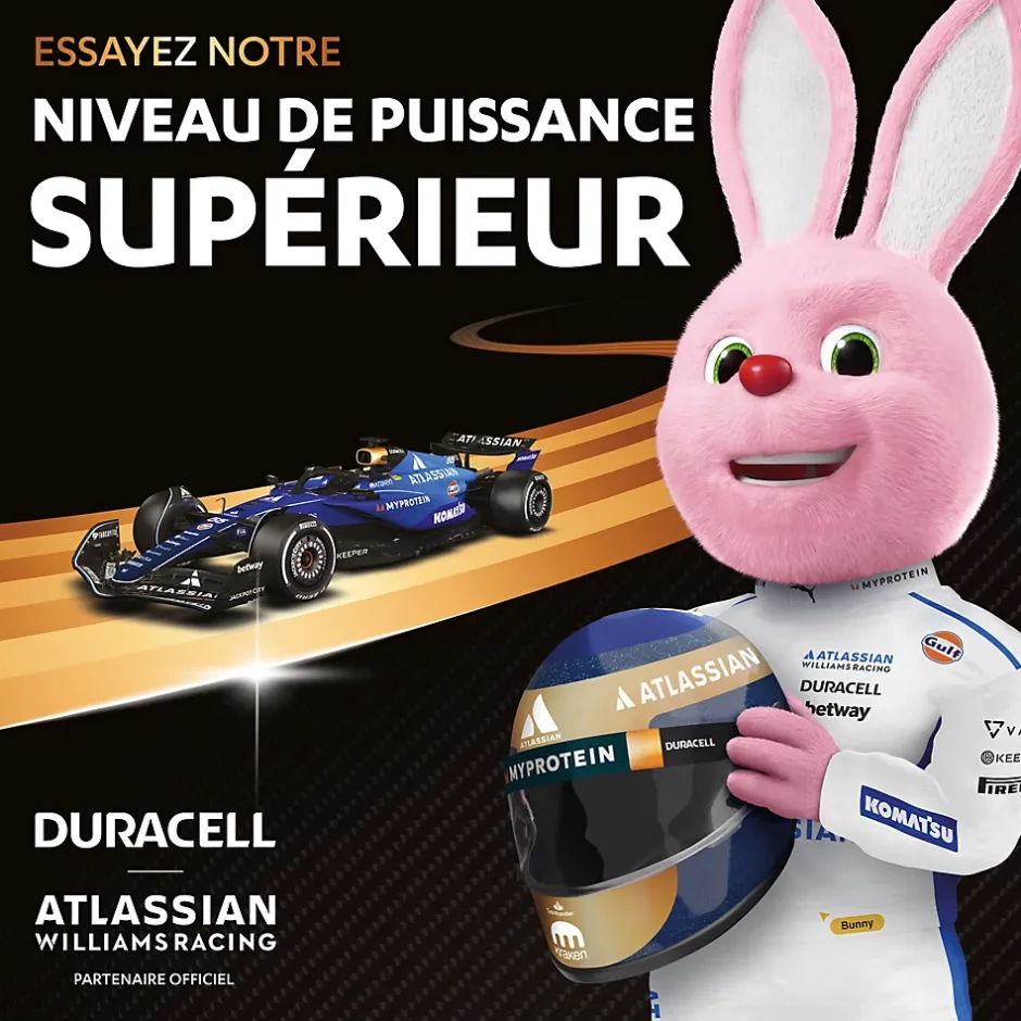 Pile alcaline AA (LR6) Plus Power Boost, lot de 12^Duracell Discount