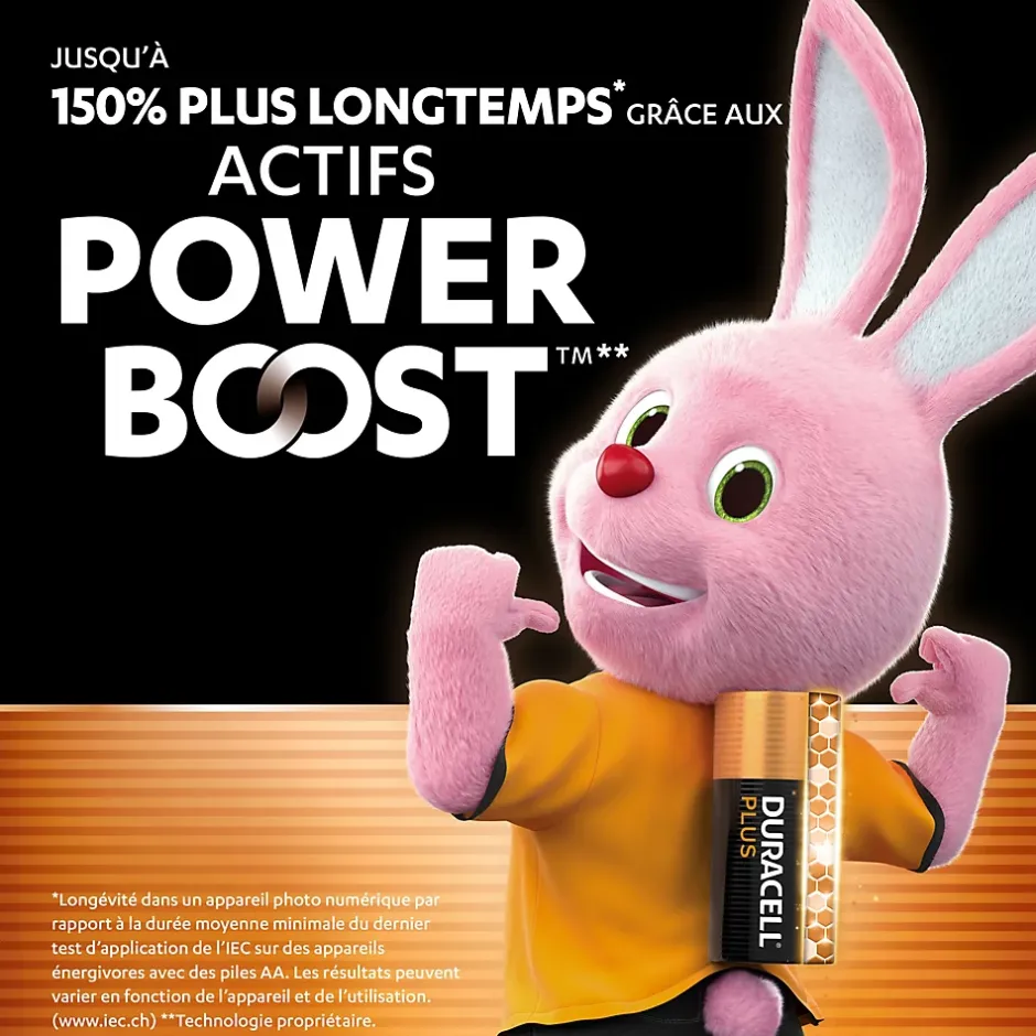 Pile alcaline AA (LR6) Plus Power Boost, lot de 12^Duracell Discount