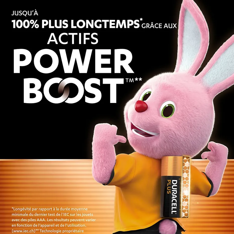 Piles alcaline AAA LR3 Plus Powerboost - lot de 12^Duracell Outlet
