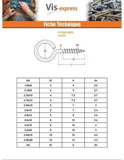 Piton Bois 2.5X10 Oeil 6 Acier zingué ROUILLES - 10 pièces-Vis Express Discount