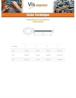 Piton Métaux à collerette 6X60 Acier zingué - 30 pièces-Vis Express Clearance