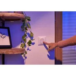 Plaque de finition 1 poste Ovalis S320702 coloris blanc l.87 x P.10 x H.87 mm^Schneider Electric Best