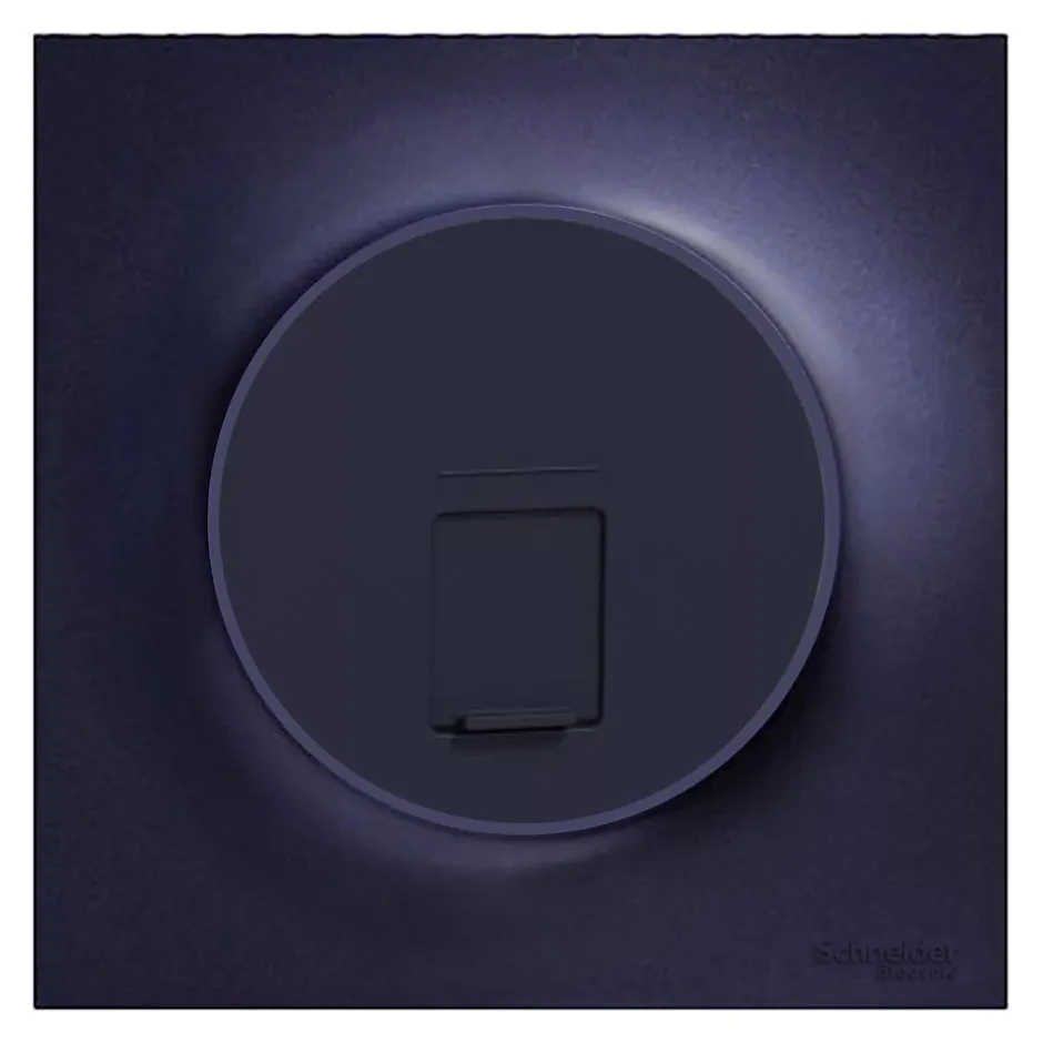 Plaque de finition 1 poste Odace Styl S540702 coloris anthracite l.85 x P.10 x H.85 mm^Schneider Electric New