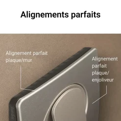 Plaque de finition 2 postes Céliane CP2102 coloris nickel satiné l.172 x P.9 x H.83 mm^Legrand Hot
