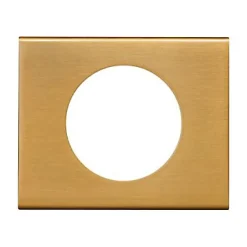 Plaque de finition 1 poste Céliane 0 691 31 coloris bronze doré l.100 x P.8,5 x H.82 mm-Legrand Online