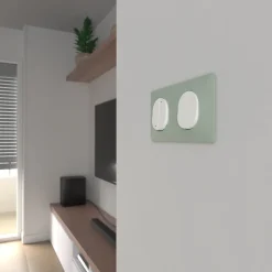 Plaque de finition 2 postes Ovalis S320704A coloris sauge l.158 x P.10 x H.87 mm^Schneider Electric Sale