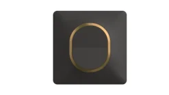 Plaque de finition 1 poste Ovalis S340702E coloris anthracite avec liseré laiton l.87 x P.10 x H.87 mm^Schneider Electric Sale