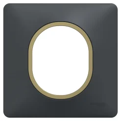 Plaque de finition 1 poste Ovalis S340702E coloris anthracite avec liseré laiton l.87 x P.10 x H.87 mm^Schneider Electric Sale