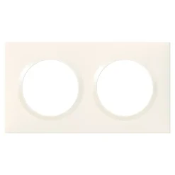 Plaque de finition 2 postes Dooxie 6 009 02 coloris blanc l.158 x P.10 x H.87 mm^Legrand New
