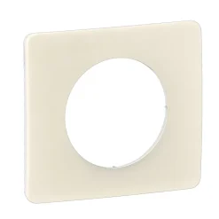 Plaque de finition 1 poste Céliane CP1121 coloris blanc amande l.90 x P.9 x H.82 mm^Legrand Hot