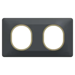 Plaque de finition 2 postes Ovalis S340704E coloris anthracite avec liseré laiton l.158 x P.10 x H.87 mm-Schneider Electric Discount