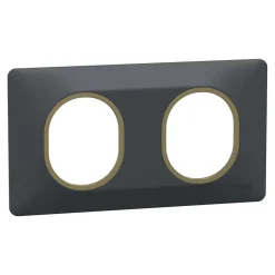 Plaque de finition 2 postes Ovalis S340704E coloris anthracite avec liseré laiton l.158 x P.10 x H.87 mm-Schneider Electric Discount