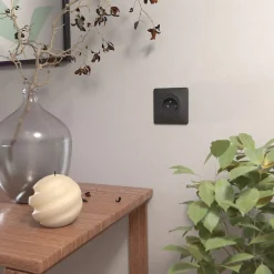 Plaque de finition 1 poste Ovalis S340702 coloris anthracite l.87 x P.10 x H.87 mm-Schneider Electric Outlet