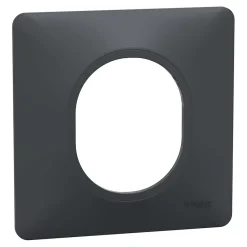 Plaque de finition 1 poste Ovalis S340702 coloris anthracite l.87 x P.10 x H.87 mm-Schneider Electric Outlet