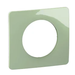Plaque de finition 1 poste Céliane CP0521 coloris vert céladon l.90 x P.9 x H.82 mm^Legrand Online