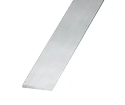 Plat aluminium brut 10 x 2 mm, 2 m Argent^