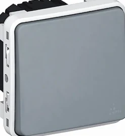 Poussoir lumineux bascule inverseur saillie Plexo gris^Legrand Clearance