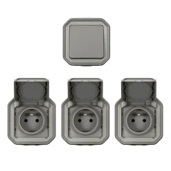 Prise 2 pôles + terre et 1 interrupteur Plexo gris vendue par 3 pièces-Legrand Discount