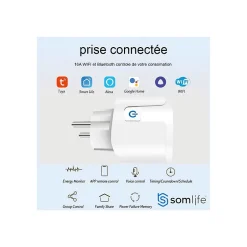 Prise connectée application tuya smart life contrôle de consommation Compatible avec Alexa/Google Home^Somlife Discount