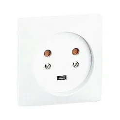 Prise de courant avec terre 20 A-Legrand Best