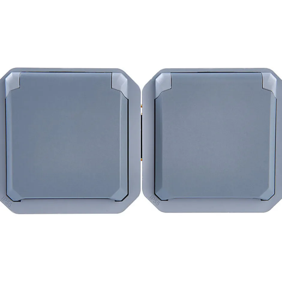 Prise de courant étanche - Plexo - Composable - - 2 x 2P+T - 16 A - Gris - IP55 - Horizontale - Précâblée-Legrand