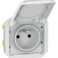 Prise de courant étanche - Plexo - Composable - - 2P+T - 16 A - Blanc - IP55-Legrand Hot