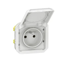 Prise de courant étanche - Plexo - Composable - - 2P+T - 16 A - Blanc - IP55-Legrand Hot