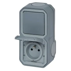 Prise et interrupteur Plexo gris en saillie^Legrand Outlet