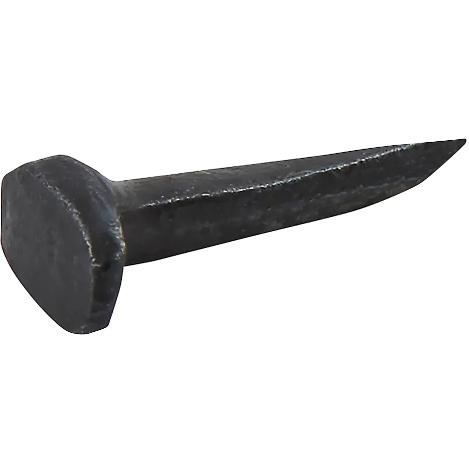 Punaises en acier noirci 6x11 - 125g^Diall Sale