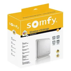 Récepteur radio 2400583 pour commande d'éclairage-Somfy Sale