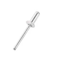 Rivet 4.8 x 12 mm , 50 pièces-Magnusson Outlet