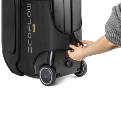 Sac de rangement pour Delta Pro-EcoFlow Outlet