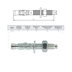 Sachet de 10 goujons d'ancrage métallique M.6x45mm-Lem Select Online