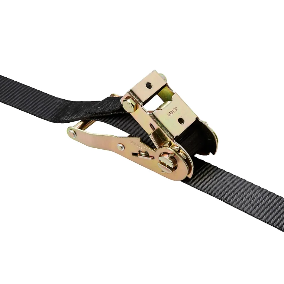 Sangle à cliquet capacité 600 kg coloris noir L.700 x l.3,5 cm-Diall Sale