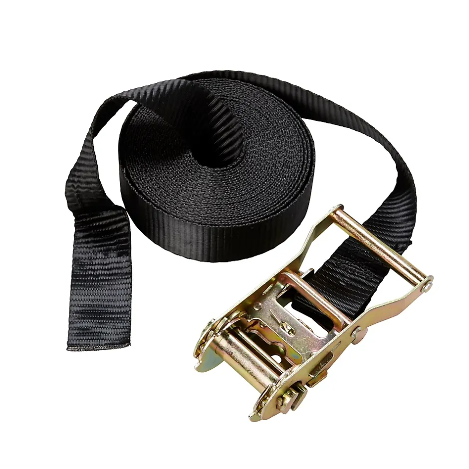 Sangle à cliquet capacité 600 kg coloris noir L.700 x l.3,5 cm-Diall Sale