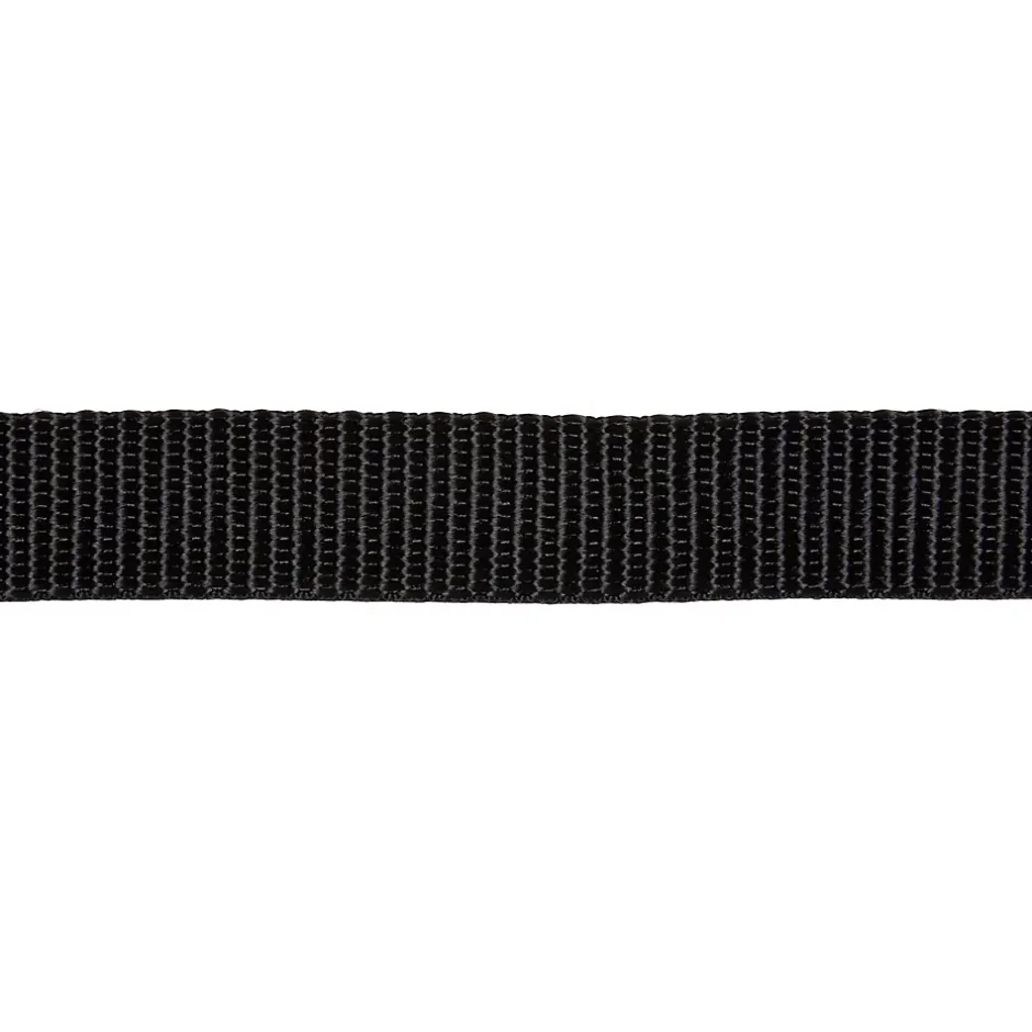 Sangle polypropylène bleue l. 25 mm, 5 m^Diall Best