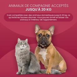 , Systeme Alarme Maison sans Fil GSM 4G, WLAN avec écran Tactile et Batterie 1500 mAh. Alexa, Application Android et iOS^Seqrell Best