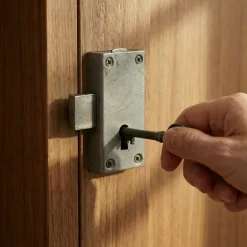 Serrure à patte axe 15 l. 30 mm x H. 50 mm x ep. 10 mm acier poli^Diall Online