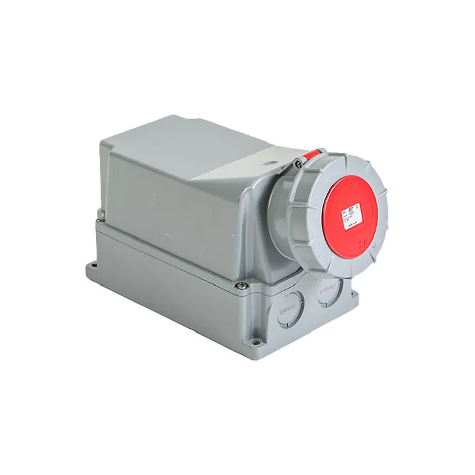 Socle De Prise Tétrapolaire 125a 3p+n+t - étanche Ip67 -^Ide Discount