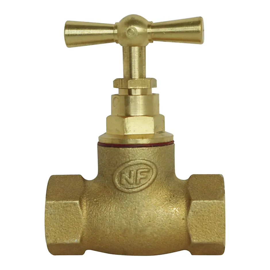 - Robinet d'arrêt à visser double Femelle FF15/21 - En laiton brut^Somatherm for you Sale