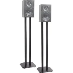 SPS1022-80 Pieds enceintes 80 cm lestables avec du sable Cônes anti vibrations Set de 2 pour hifi stéréo home cinema^Duronic Best