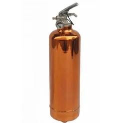 Système d’extinction d'incendie ABC 1 kg Lifebox avec manomètre cuivre- Outlet
