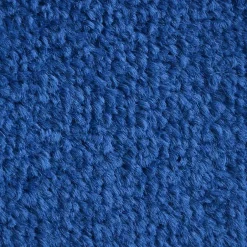 Tapis de Porte Paillasson d'entrée Monochrom Bleu 135 x 200 cm^Floordirekt Best
