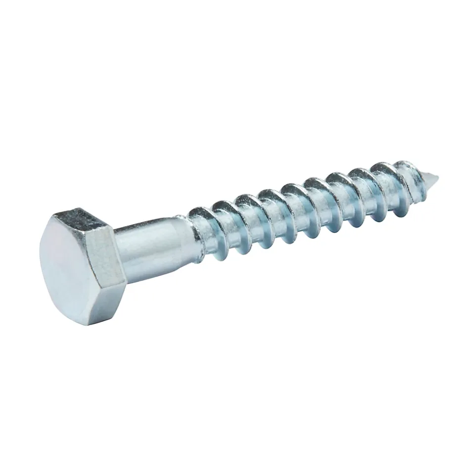 Tirefonds DIN 571 zingués 6x40 mm - 10 pièces^Diall Sale