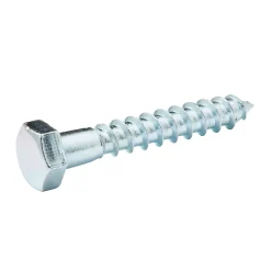 Tirefonds DIN 571 zingués 8x50 mm - 10 pièces^Diall Clearance